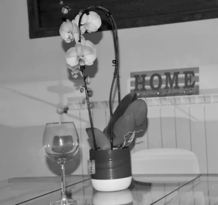 Brand New Apartment-1